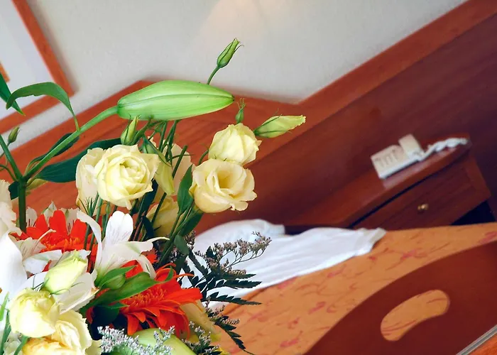 Htop Royal Star & #htopfun