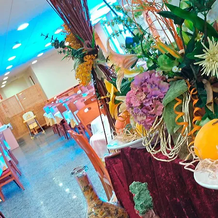 Htop Royal Star & #htopfun