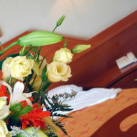 Htop Royal Star & #htopfun